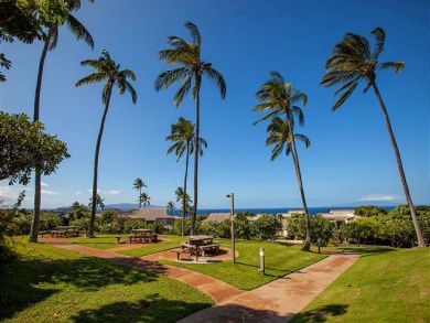 Wailea Condo 878529